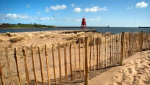 Top Spots in the North East for a Summer Picnic South Shields