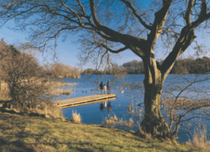 Bolam Lake Paw-some Places in the North East Worth Visiting