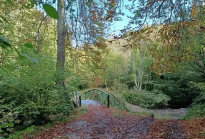 Castle Eden Dene FREE Family North East Days Out this Summer