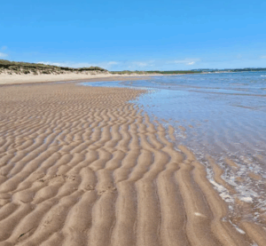 Warkworth beach, Top Spots in the North East for the Perfect Beach Day