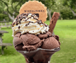 Wheelbirk's Farm, Top Spots to Grab an Ice Cream in the North East