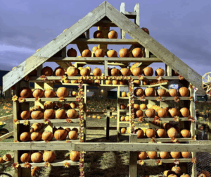 Brockbushes Farm Shop