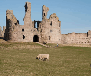 Dunstanburgh Castle, North East Castles Worth a Family Visit