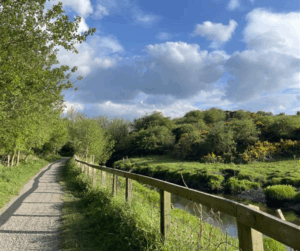 Holywell Dene