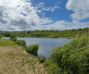 Watergate Forest Park, Autumn Stroll Spots