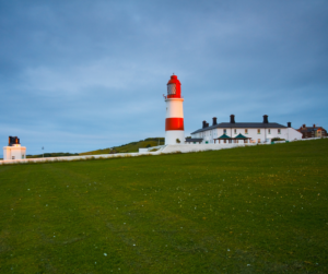 Seashore Safari, What's On in the North East in May 2026