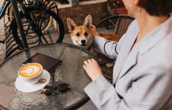 Dog‑Friendly Cafés