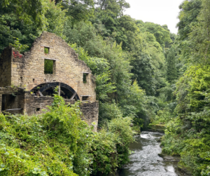 Jesmond Dene