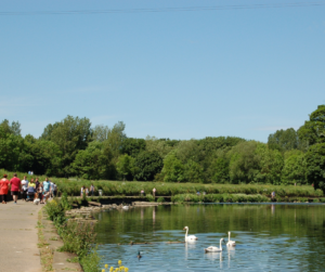 Riverside Park, 8 Short Walks in the North East