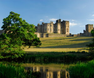 Adventure Cinema, What's On in the North East in July 2026