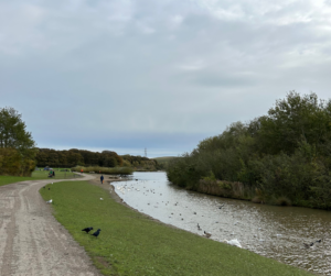 Herrington County Park