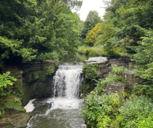 Jesmond Dene