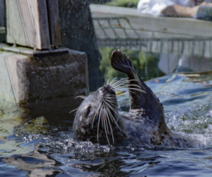 Tynemouth Aquarium Deadly Seas: Tides of No Return